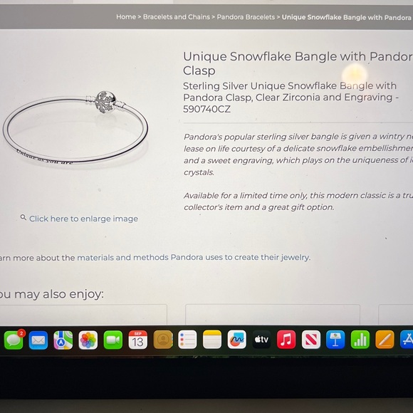 Limited Edition Unique Snowflake Bangle w Pandora Clasp & Box - Picture 12 of 16